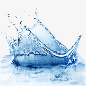 Aquatic notes