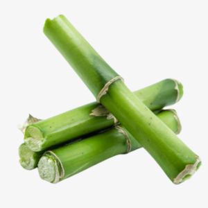 Bamboo