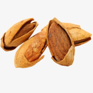 Bitter Almond