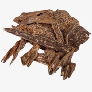 Cambodian Oud