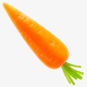 Carrot