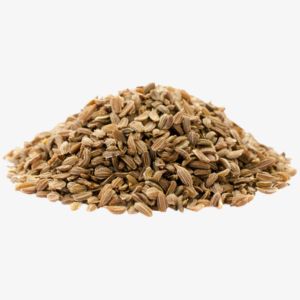 Carrot Seeds