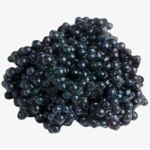 Caviar