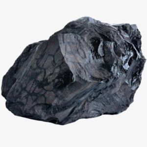 Coal
