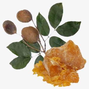 Copaiba Balsam