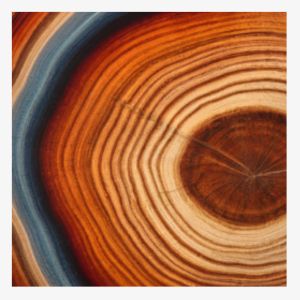 Copaiba Wood