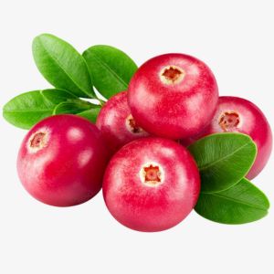Cranberry