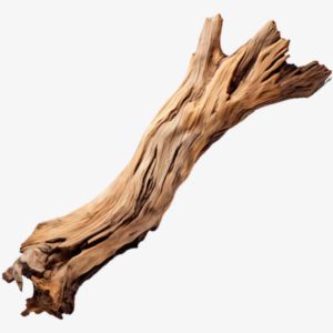 Dry Wood