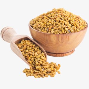 Fenugreek