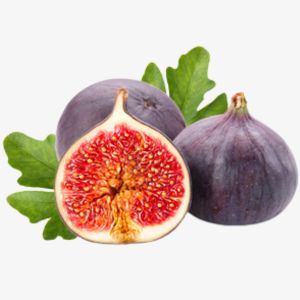 Fig