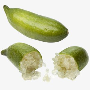 Finger Lime