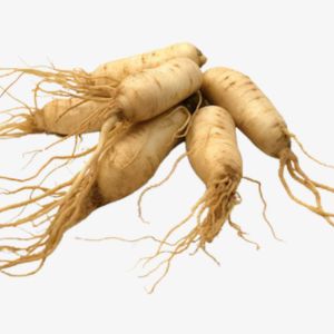 Ginseng