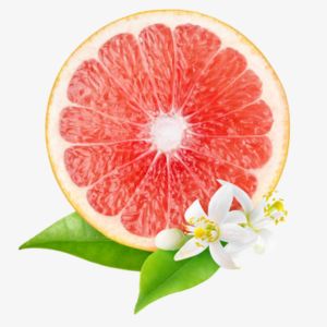Grapefruit Blossom