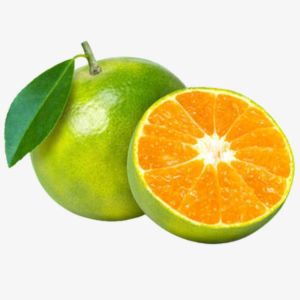 Green Tangerine