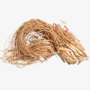 Haitian Vetiver