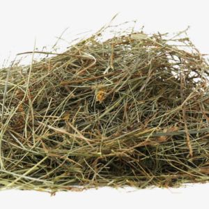 Hay