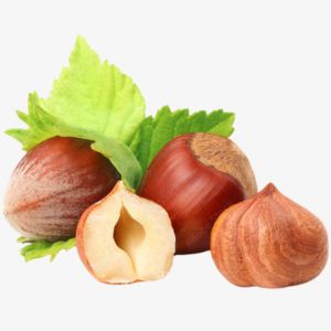 Hazelnut