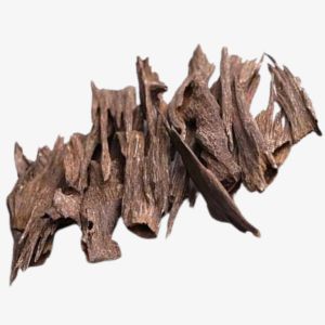 Indian Oud
