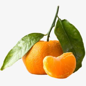 Italian Mandarin