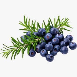 Juniper Berries