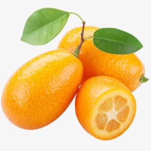 Kumquat