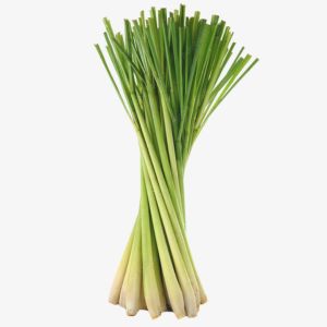 Lemongrass