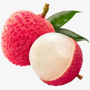 Litchi