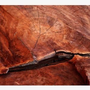 Mahogany