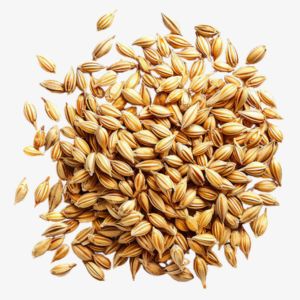 Malt