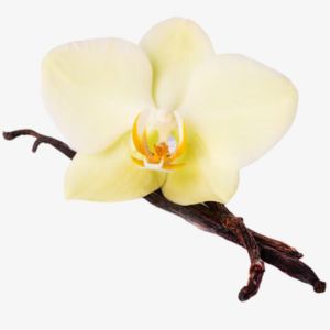 Mexican Vanilla