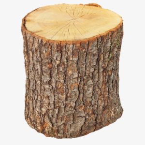Oak