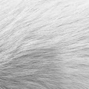 Orcanox