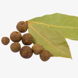 Pimento Leaf