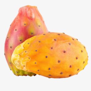 Prickly Pear