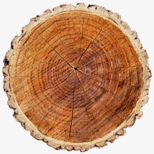 Brazilian Redwood