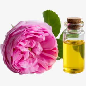 Rose de Mai