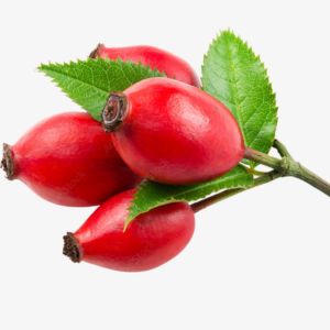Rose Hip
