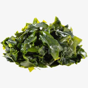 Seaweed