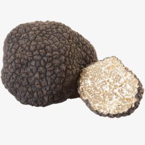 Truffle
