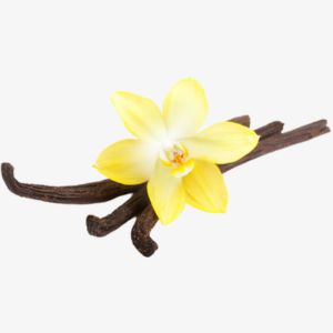 Vanilla