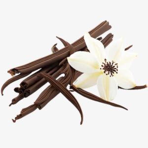 Vanilla Bean