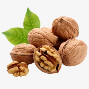 Walnut