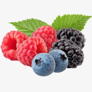 Forest Fruits