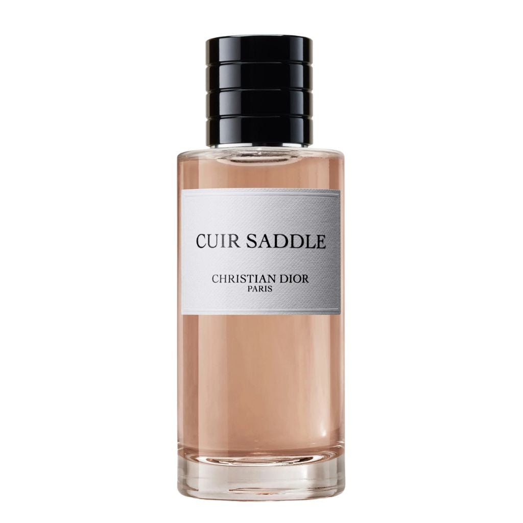 Christian Dior - Cuir Saddle