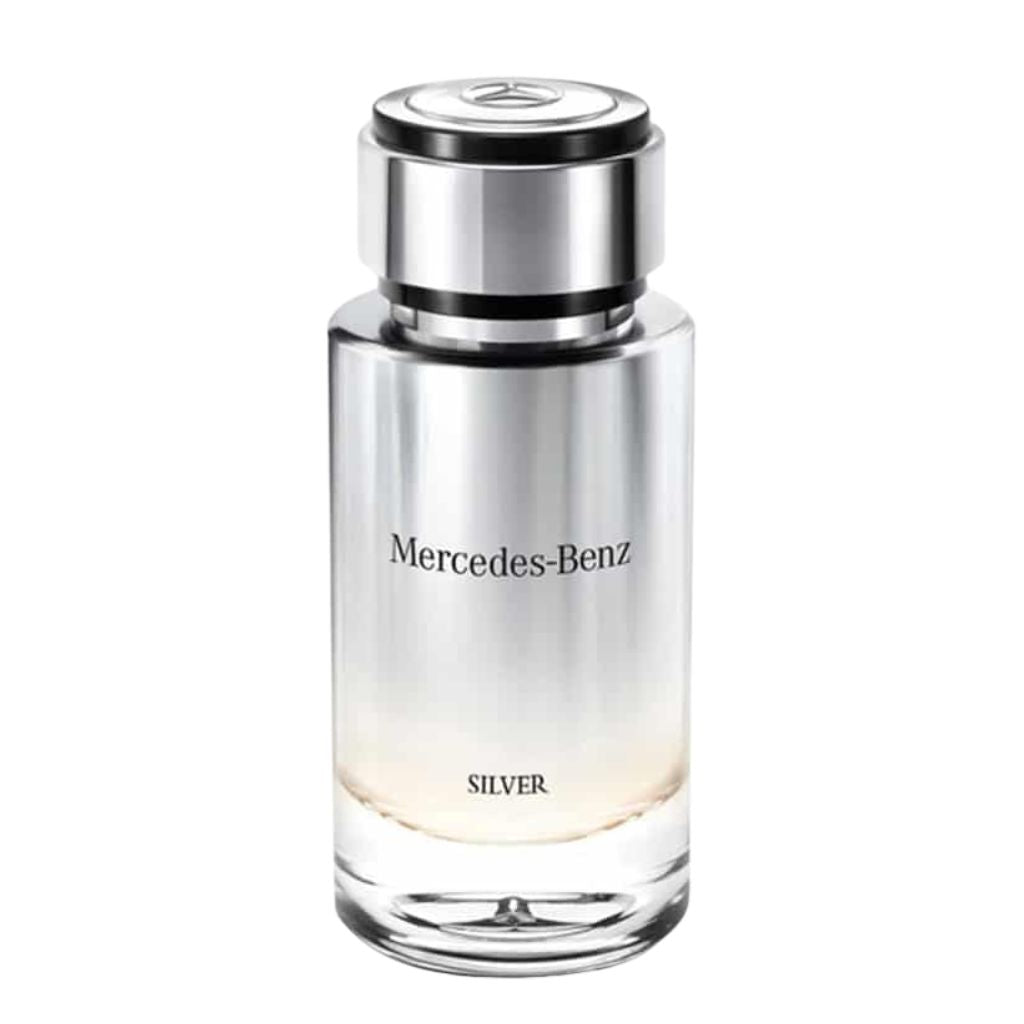 Mercedes Benz - Silver